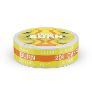 BURN Citrus & Mint