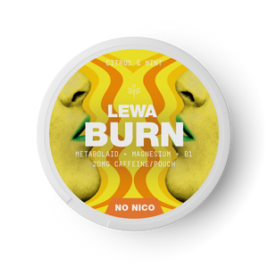 BURN Citrus & Mint